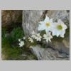 DSCN5712.jpg