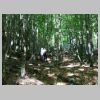 IMG-20250525-WA0015.jpg