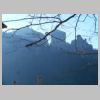 DSCN5503.jpg