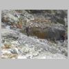 DSCN5591.jpg