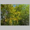 DSCN6153.jpg