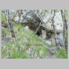 DSCN6160.jpg