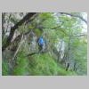 DSCN6161.jpg