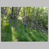 DSCN6171.jpg
