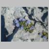 DSCN6181.jpg