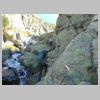 DSCN6318.jpg