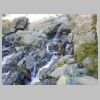 DSCN6319.jpg