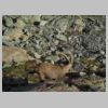 DSCN6334.jpg