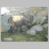DSCN6337.jpg