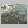 DSCN6338.jpg