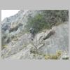 DSCN6115.jpg