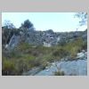 DSCN6270.jpg