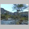 DSCN6272.jpg