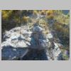DSCN6295.jpg